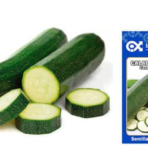 Semilla de Calabacín Caserta x 30 gr