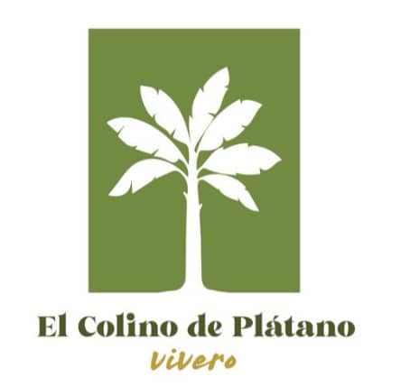 Vivero El Colino de Plátano