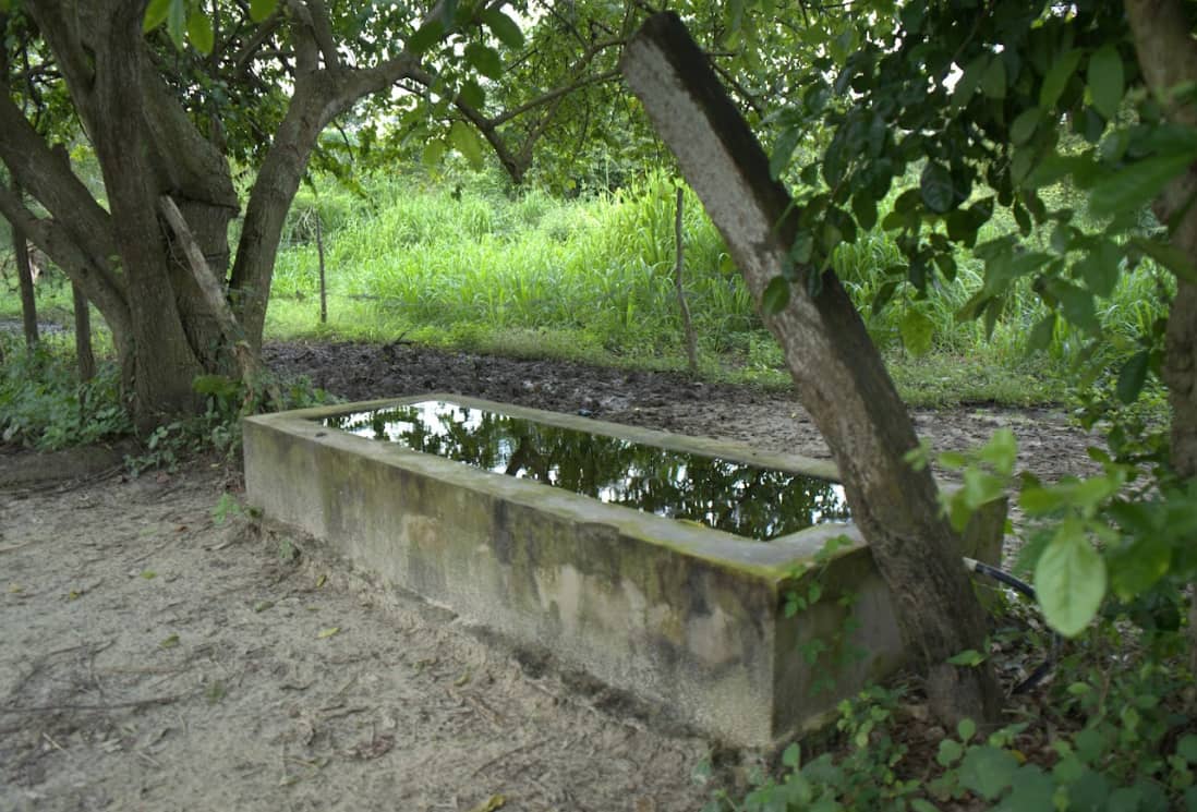 Captura de pantalla 2024-12-19 163727.png