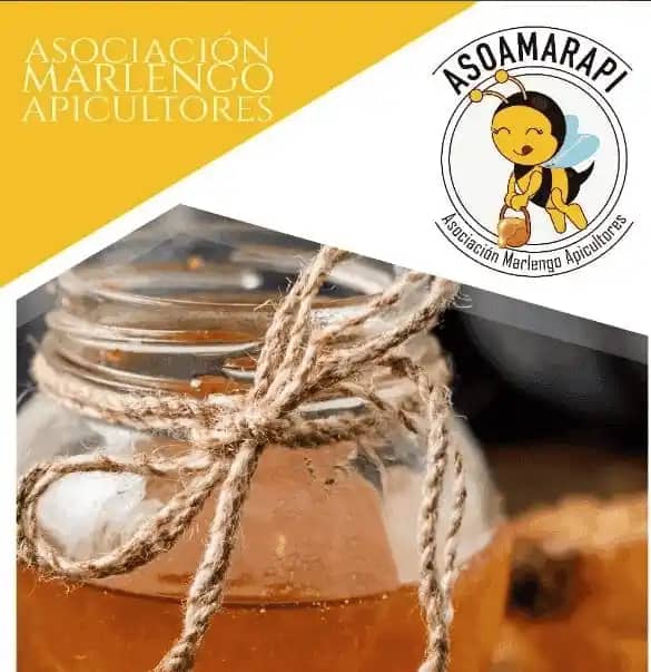 Venta de miel de abeja ASOMARAPI X 500 Gr