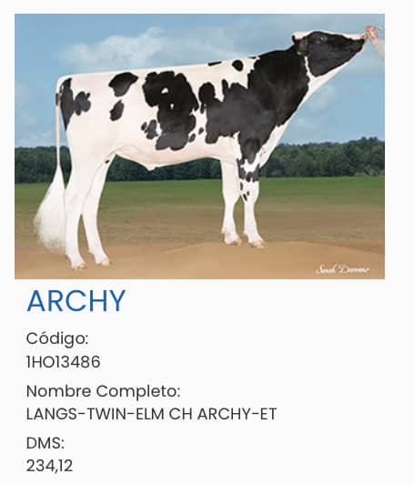 Leche/Genética Holstein