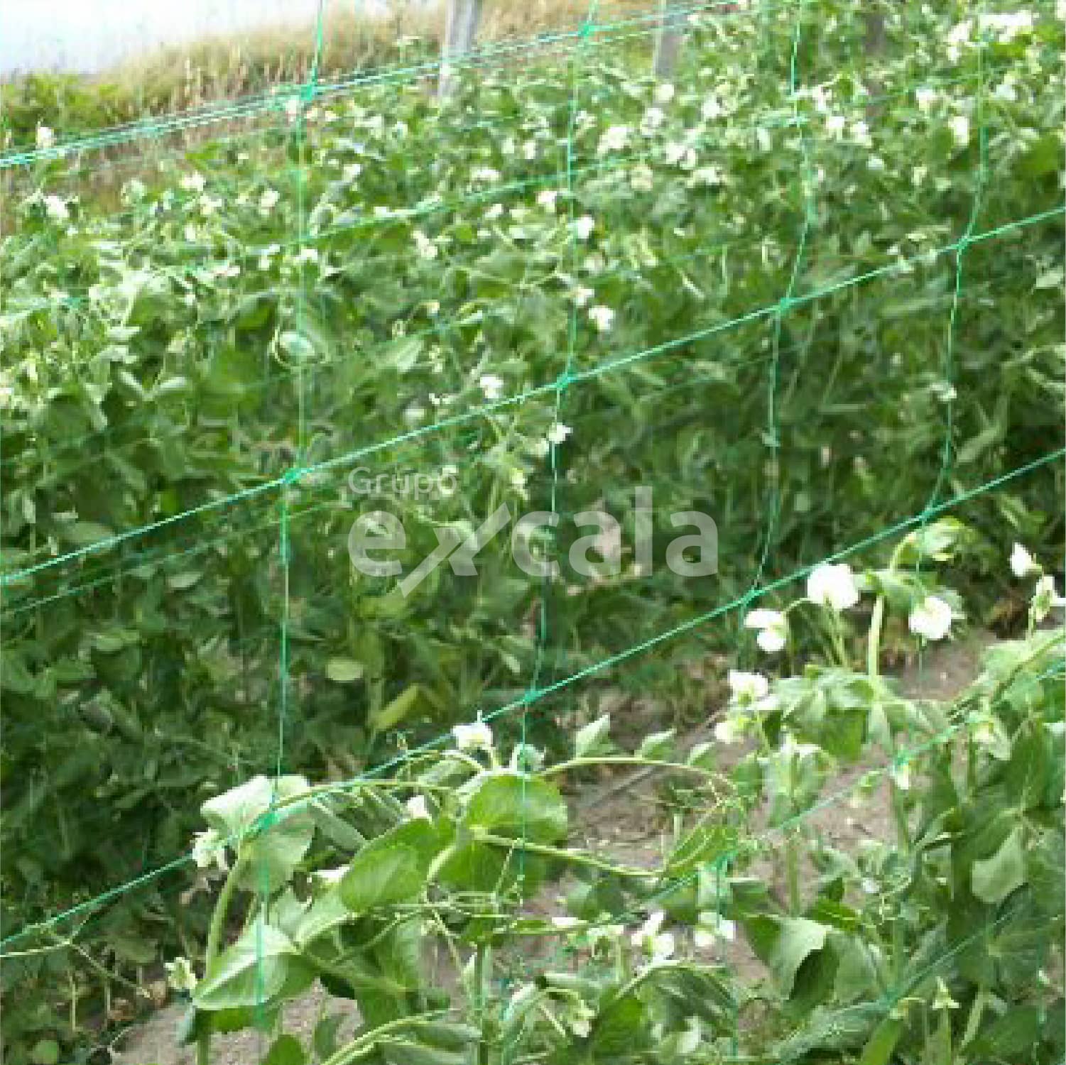 Malla sop.pta 150x150mm, 1.35m,1000m,uv2