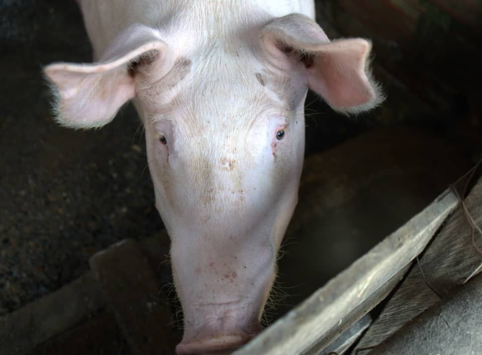 Captura de pantalla 2024-12-10 161211.png