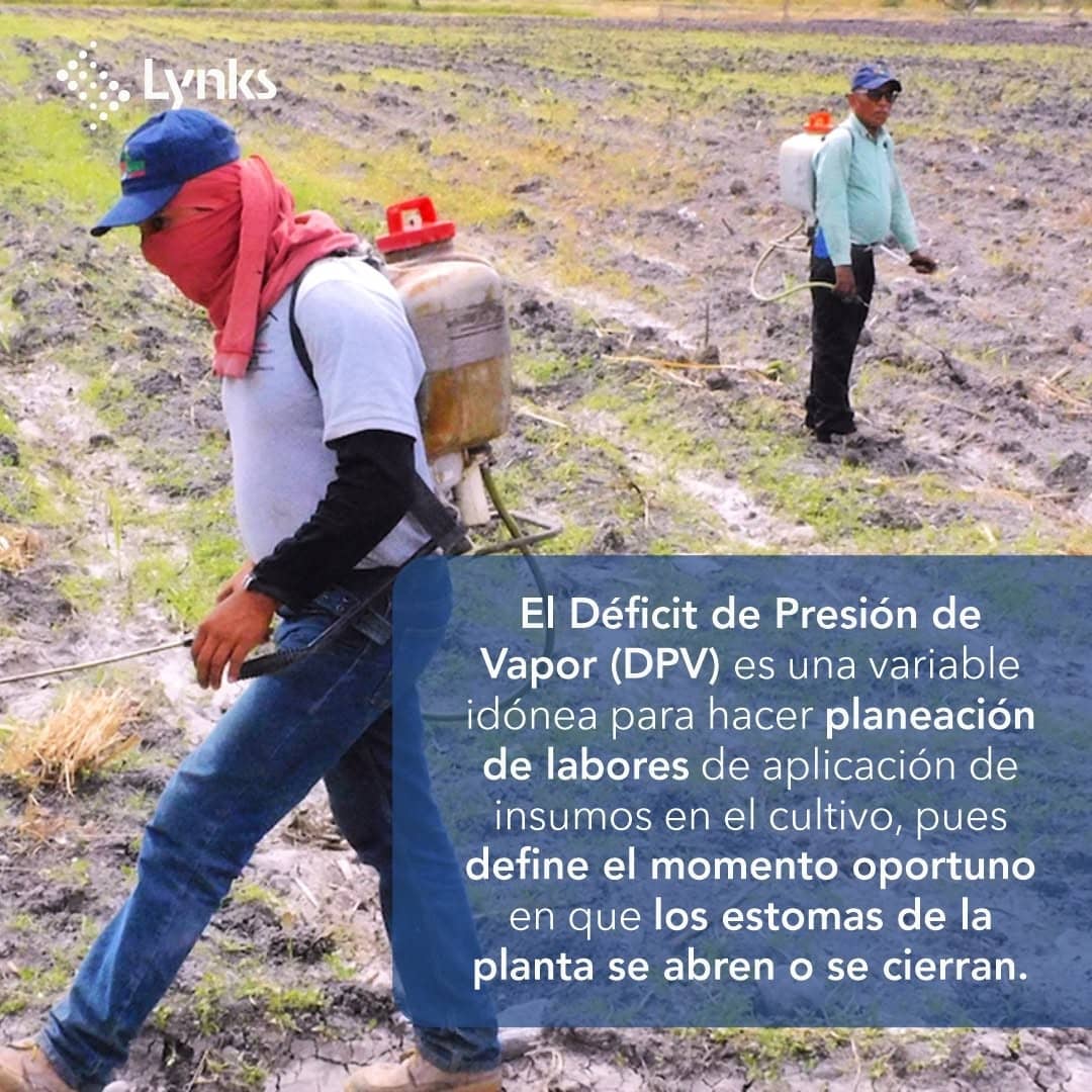 CLIMA - Estación Clima plus
