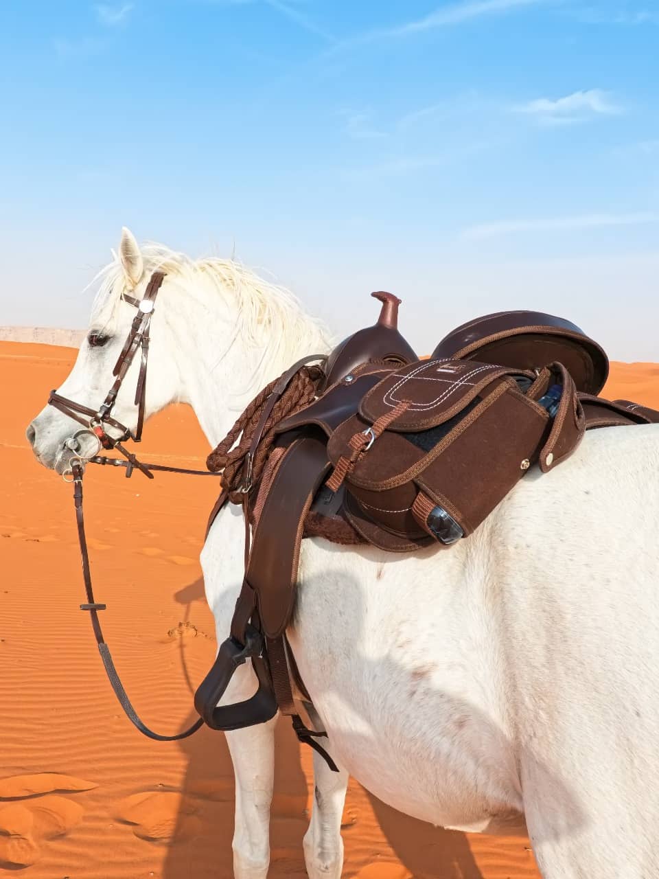 Silla Monarca cabalgata MESACÉ - Miel