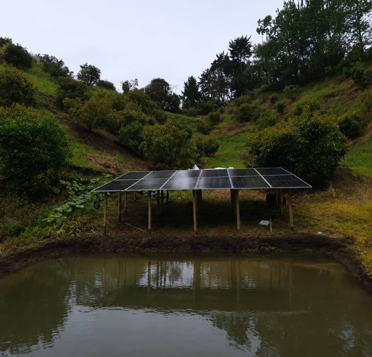 Sistemas de Bombeo Solar para Riego | Alta Eficiencia