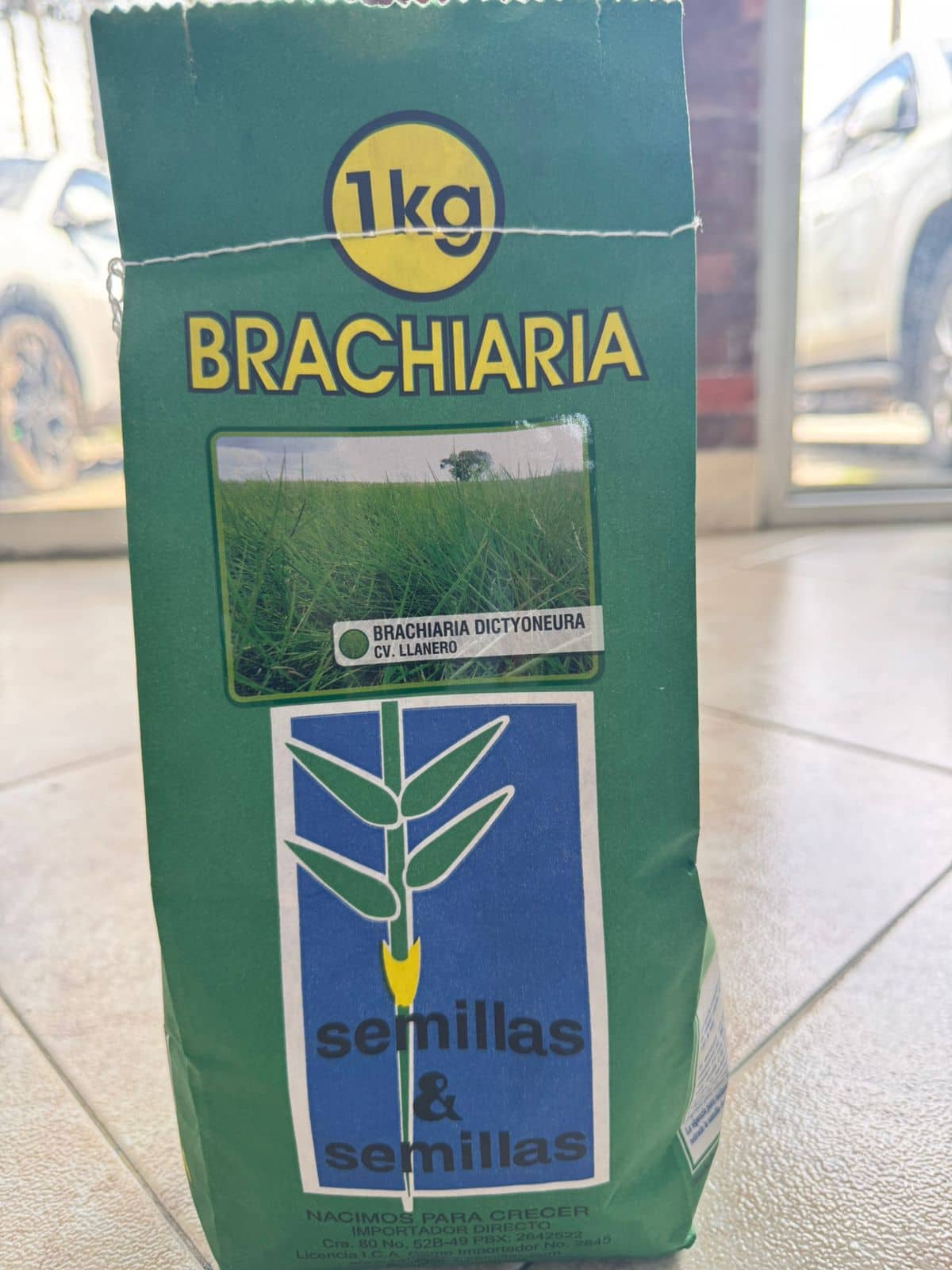 Brachiaria dictyoneura 1 Kg — Pasto Llanero Forrajero