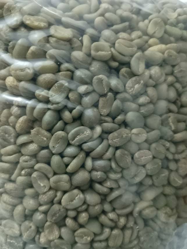 CAFÉ VERDE TRILLADO EXCELSO