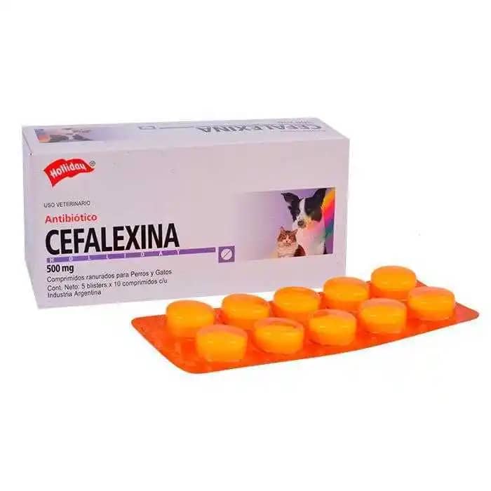 Antibiótico Cefalexina x 500 Mg