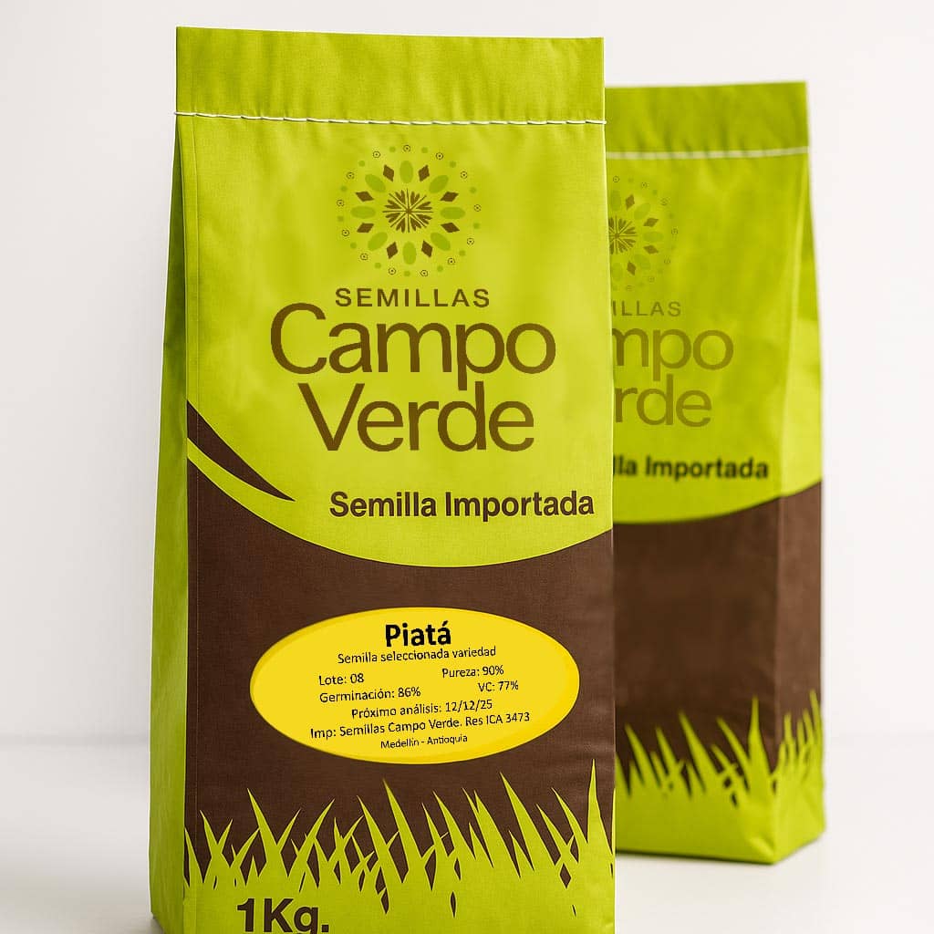 Semilla de pasto Brachiaria Piata – Pureza 90% – VC 77% – Importada de Brasil