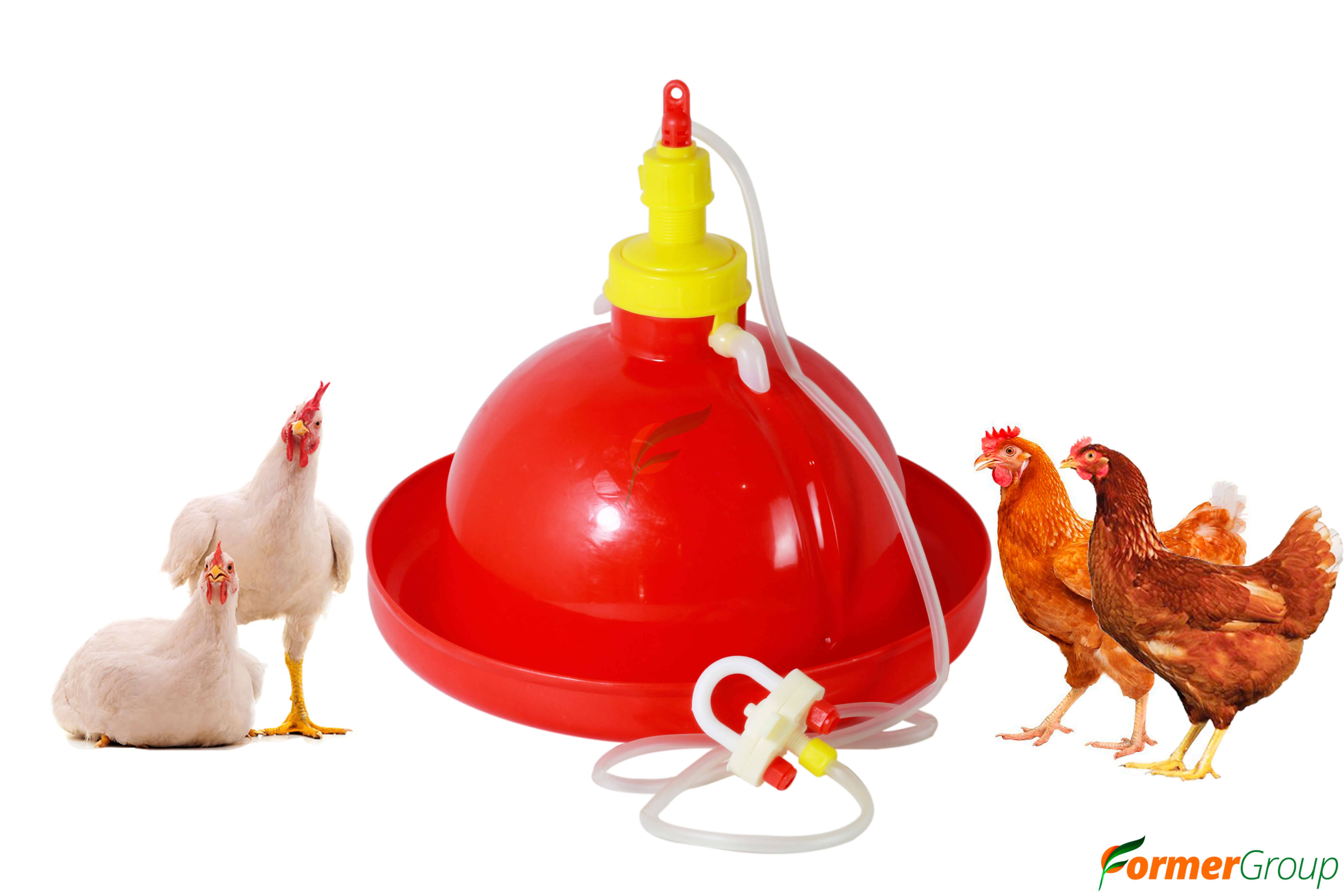 Bebedero automático tipo campana para aves 500 ml x2 unidades