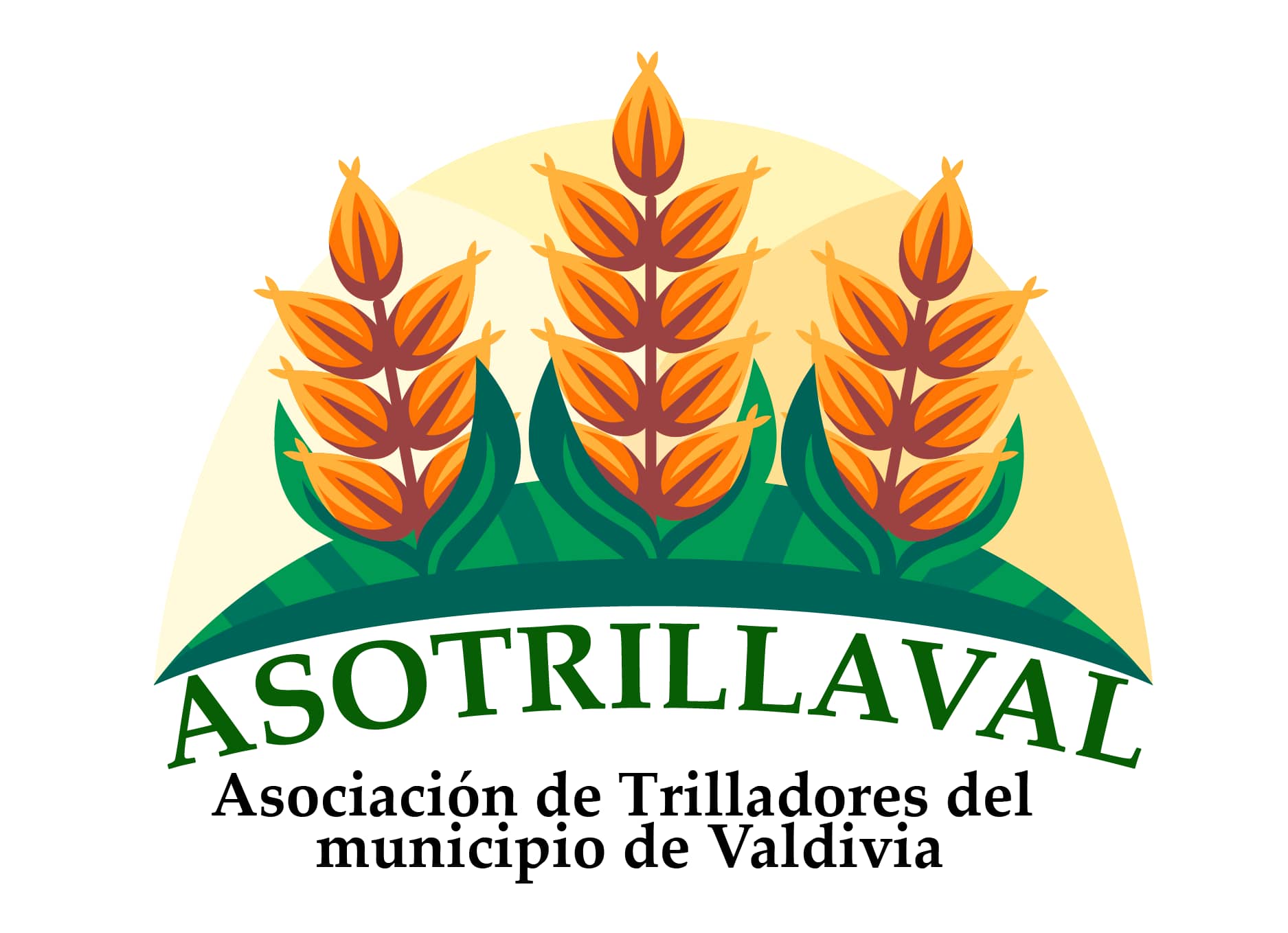 Asociación de Trilladores de Valdivia  ASOTRILLAVAL