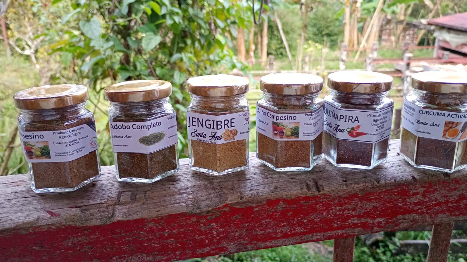 WhatsApp Image 2026-02-10 at 10.58.37 AM (2).jpeg