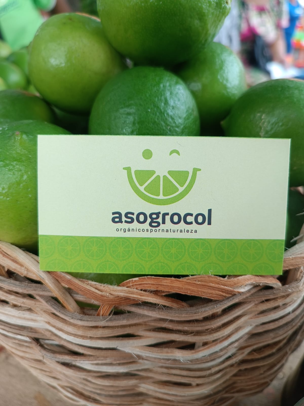 asogrocol.png