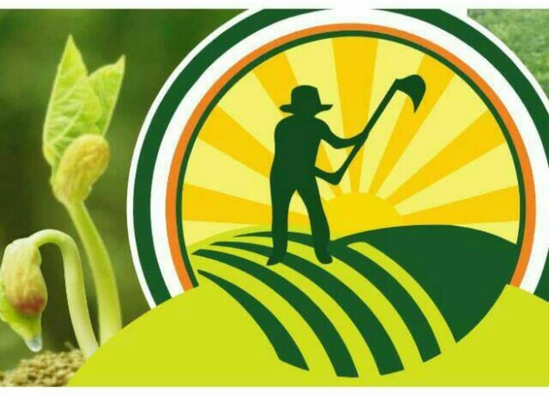 Agroinsumos Cajamarca