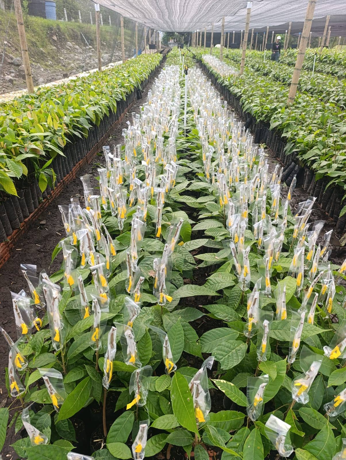 WhatsApp Image 2026-03-05 at 12.20.39 (2).jpeg