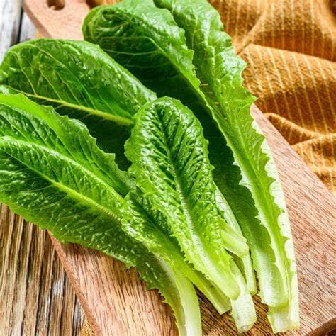 Semilla De Lechuga Paris Island Romana X 100 G