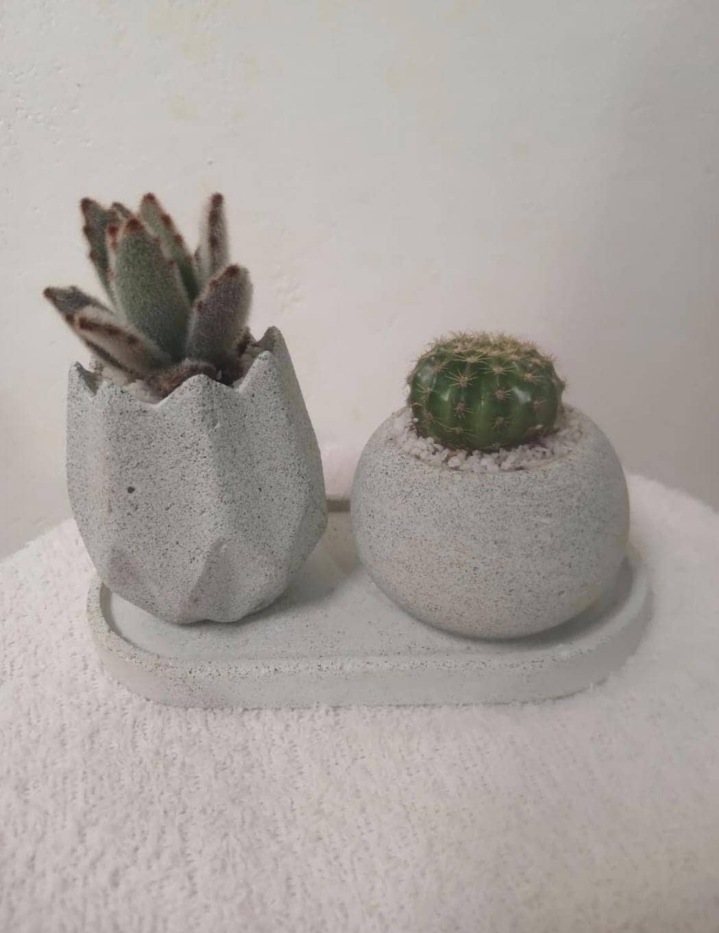 Plantas Ornamentales en Macetas Sostenibles - Simón Jardinero