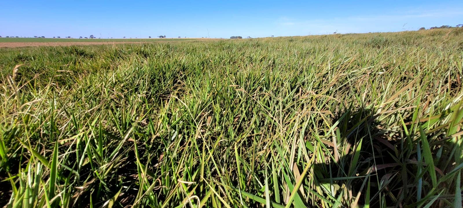 WhatsApp Image 2025-10-31 at 2.52.36 PM (2).jpeg