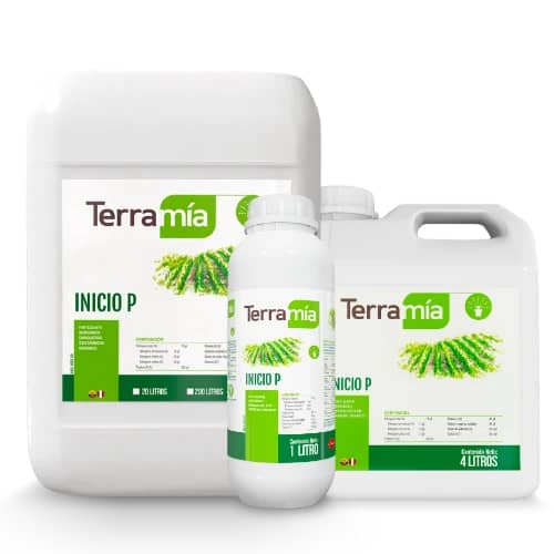 Terramía Inicio P Fosforo | Raíces y Trasplante