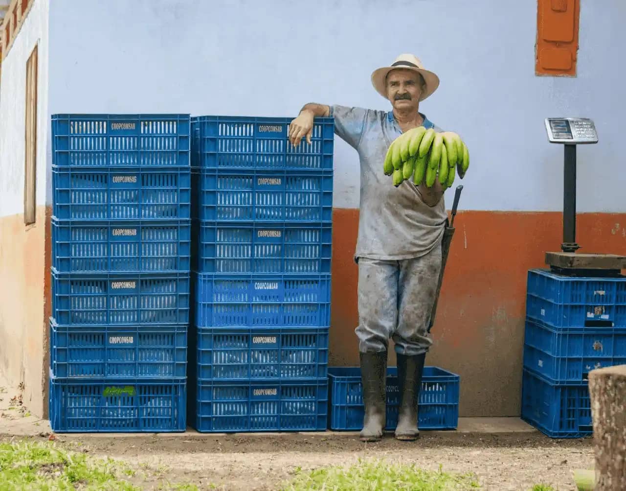 Embalaje de nuestro producto.avif