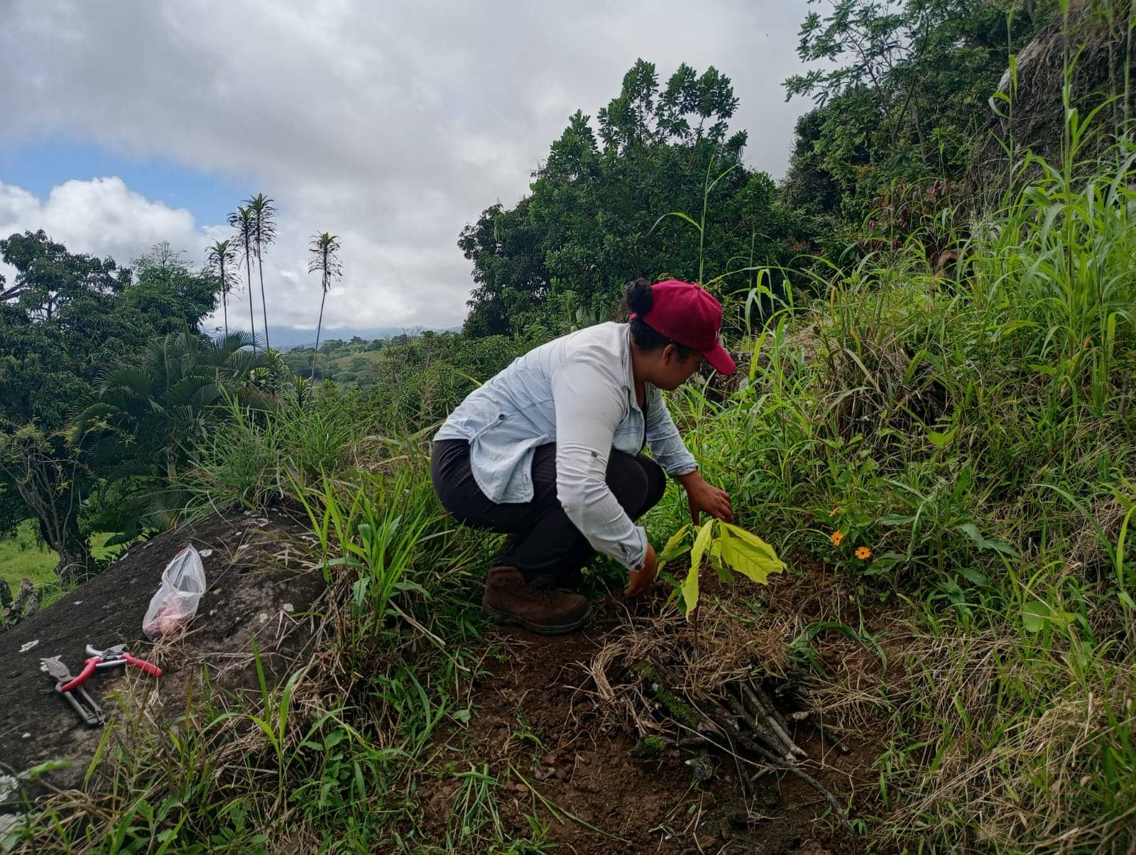 WhatsApp Image 2026-03-06 at 5.56.12 PM (2).jpeg