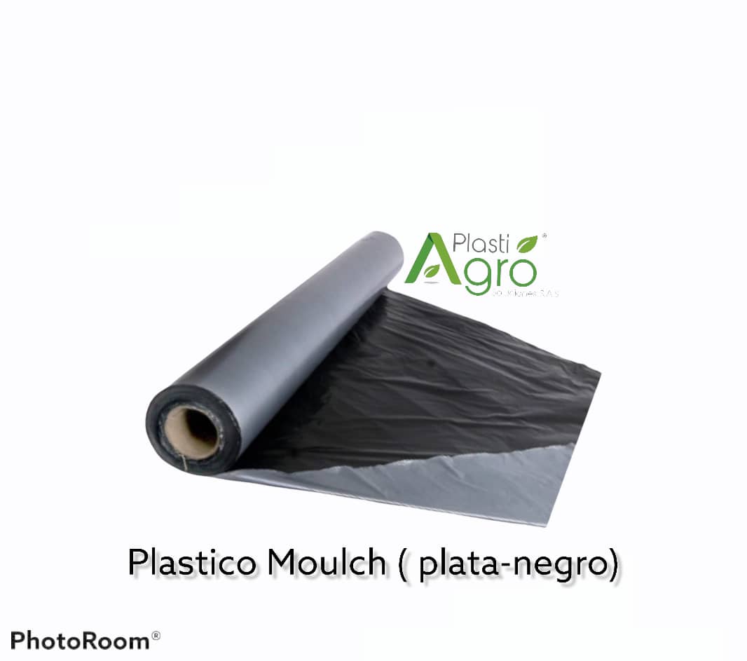 Plástico AgromulchX para Fresa | Cultivo eficiente y protección agrícola