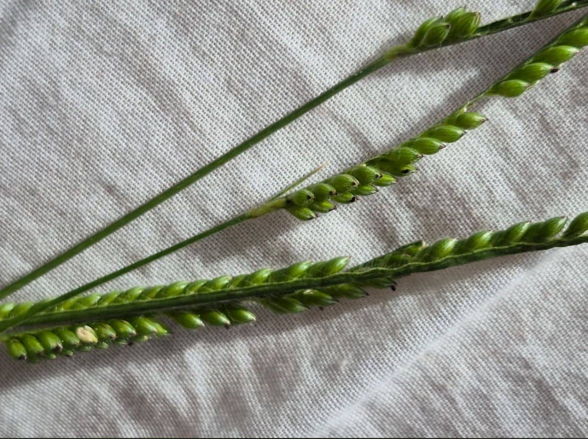 WhatsApp Image 2025-12-04 at 5.37.37 PM (3).jpeg