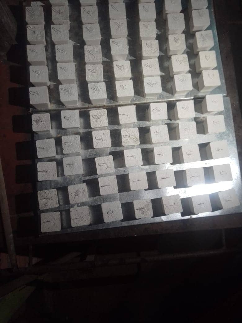 Calcio Mineralizado en Hongo para Psitácidos