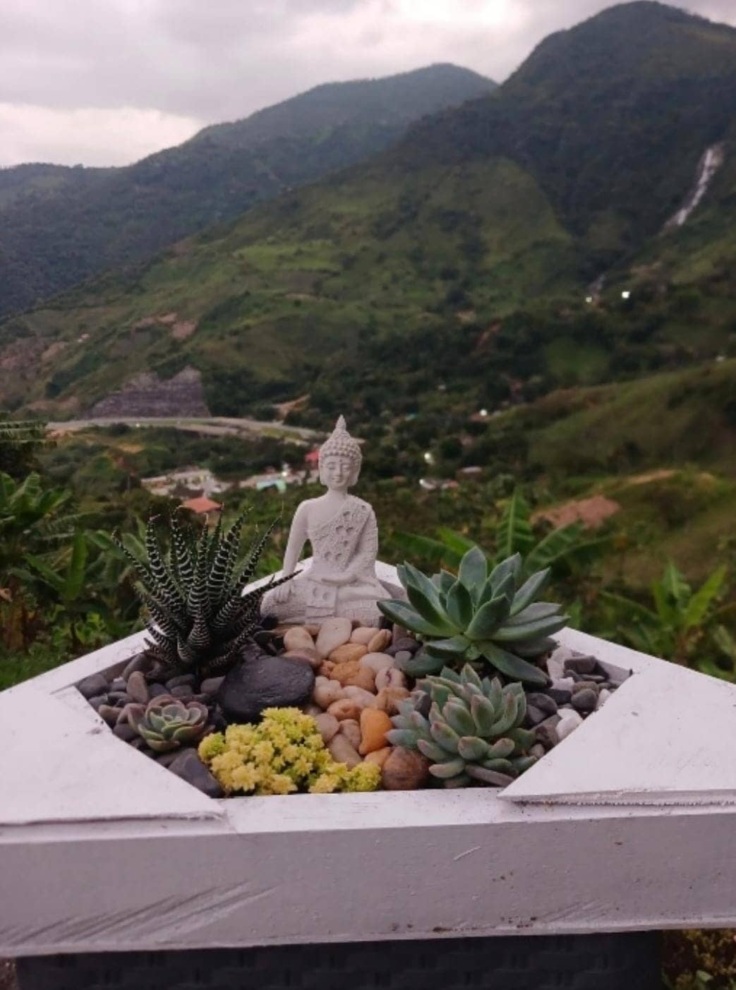 Plantas Ornamentales en Macetas Sostenibles - Simón Jardinero