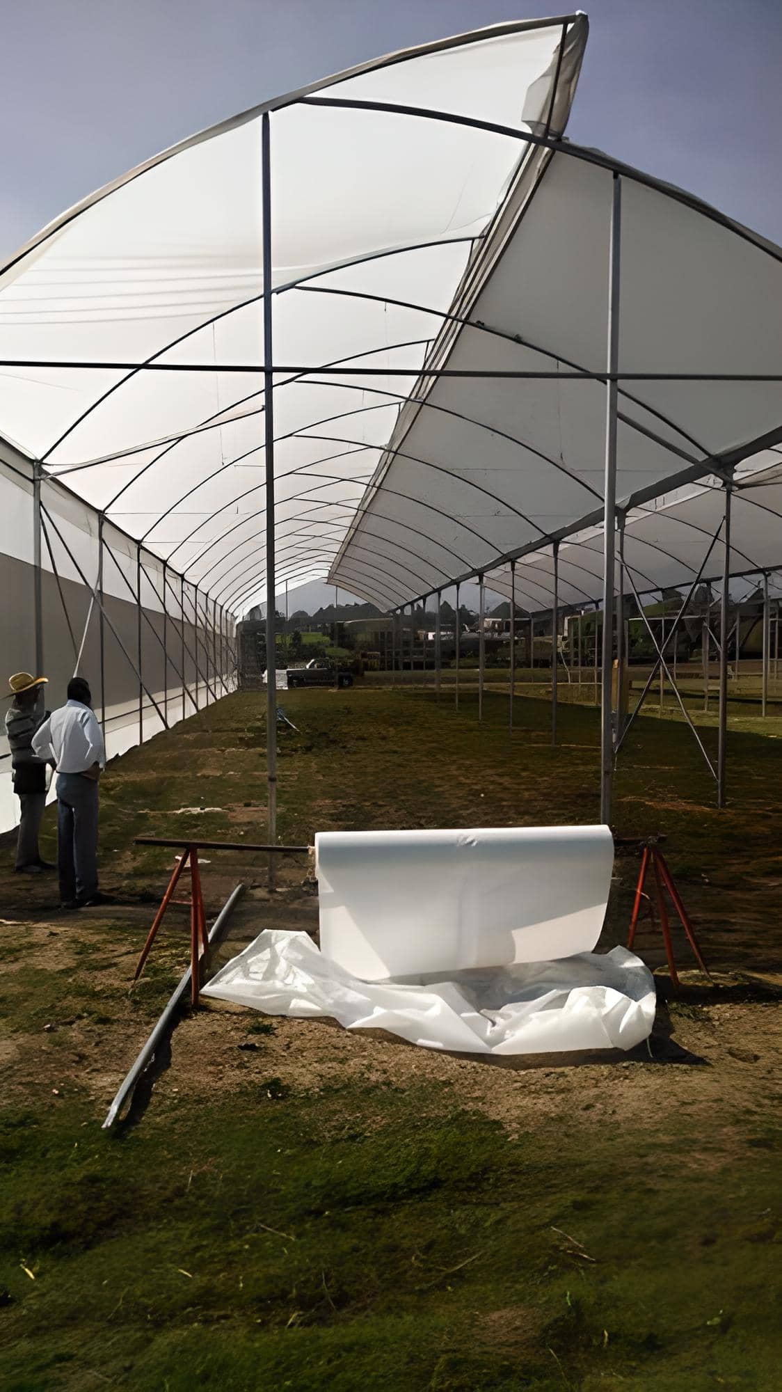 Plástico Agrofresh Lechoso | Luz Difusa y Frescura Agrícola