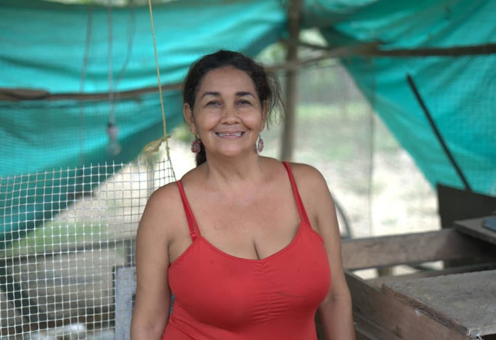 Captura de pantalla 2024-12-10 174708.png