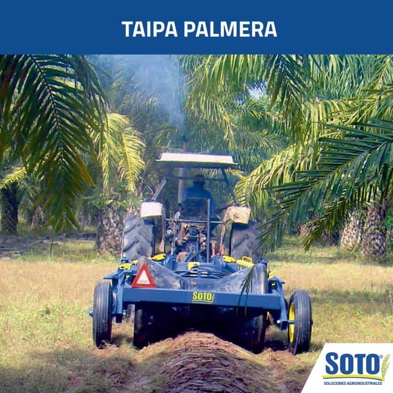 Caballoneador Taipa Palmera TA-8P - Soto