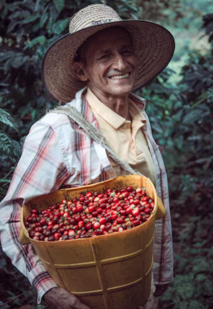 Trabajando por llevarte el mejor café.png