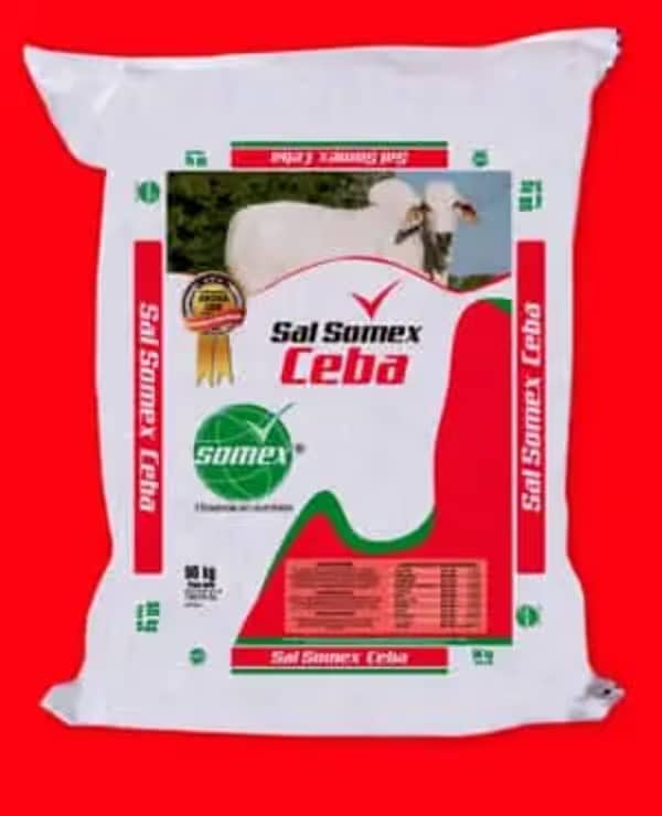 Sal Somex Ceba x 50 Kg