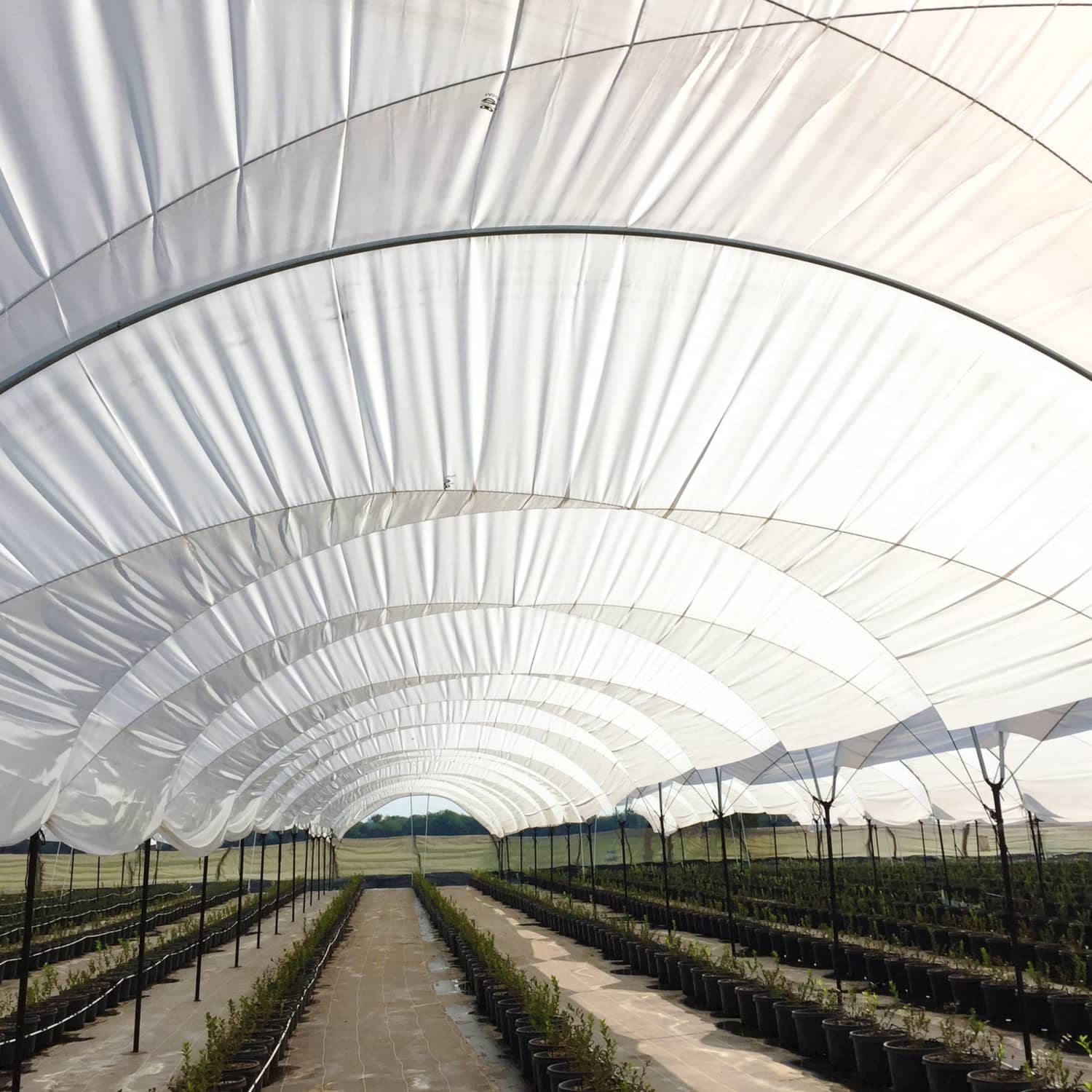 Plástico Agrofresh Lechoso | Luz Difusa y Frescura Agrícola