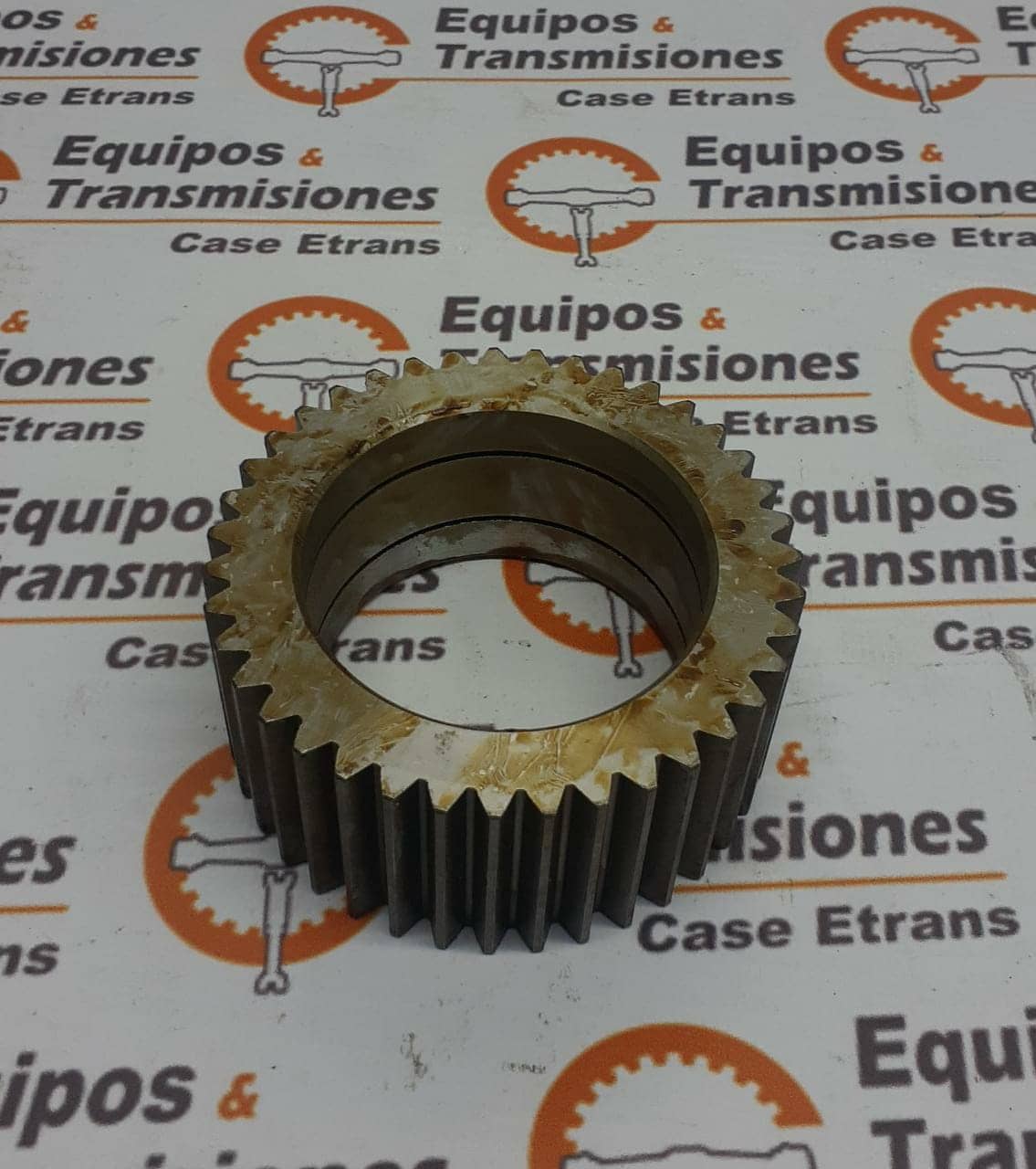 Piñón - T151064