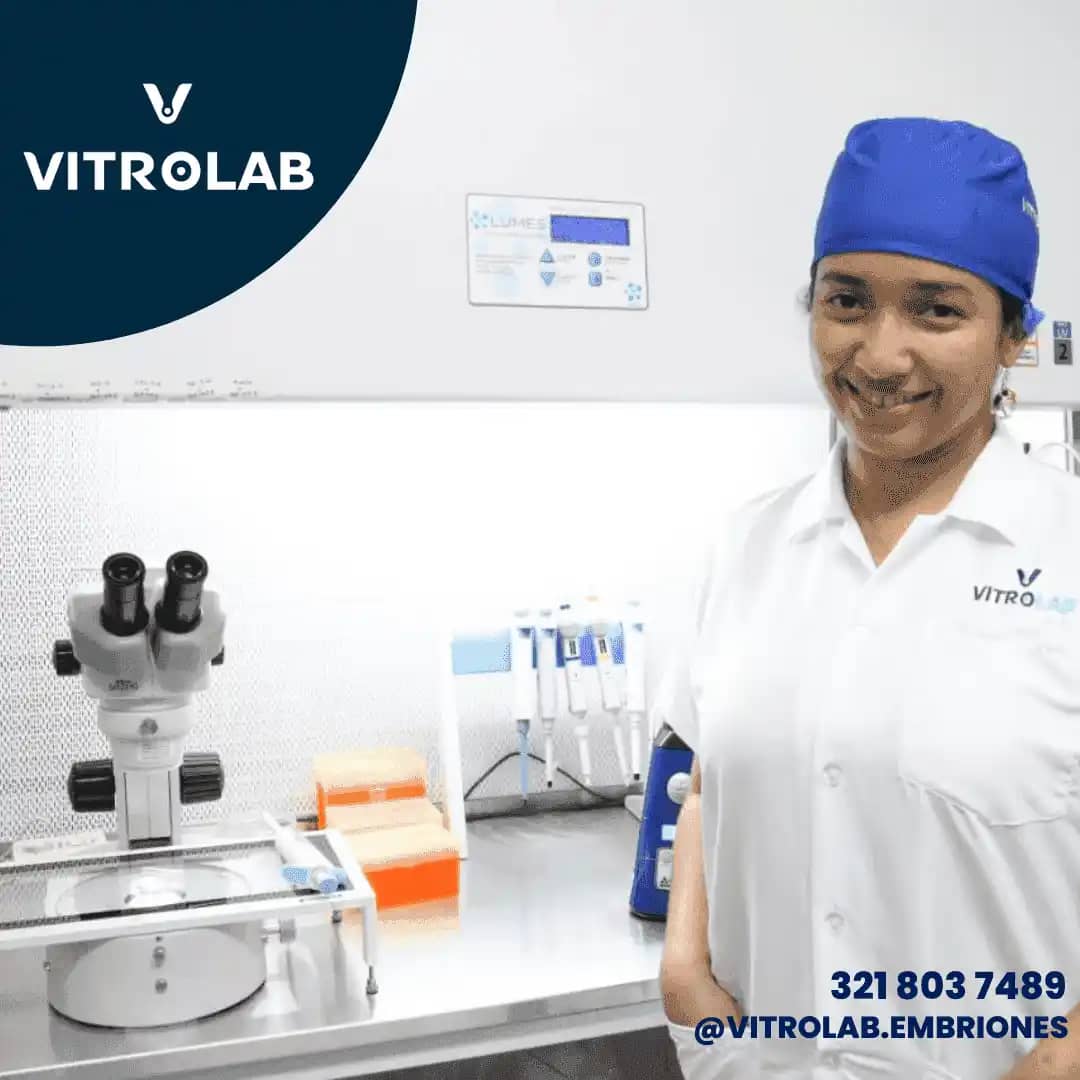 Vitrolab fertilización in vitro - Reproducción Bovina