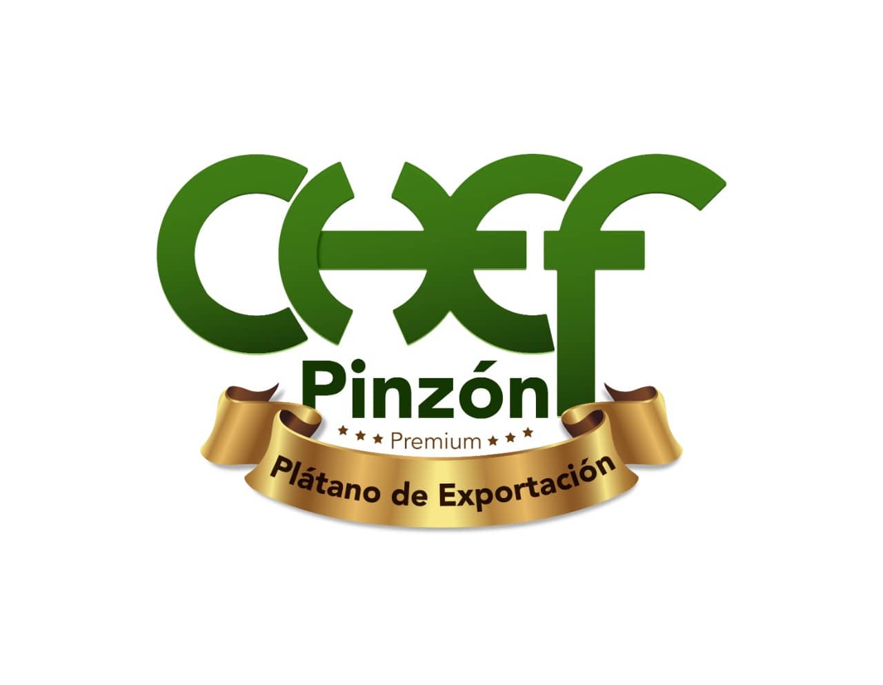 Chef pinzón plátano de exportacion