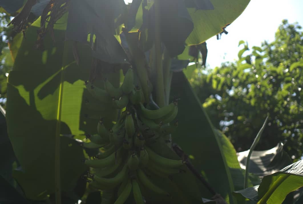 Captura de pantalla 2024-12-11 075030.png