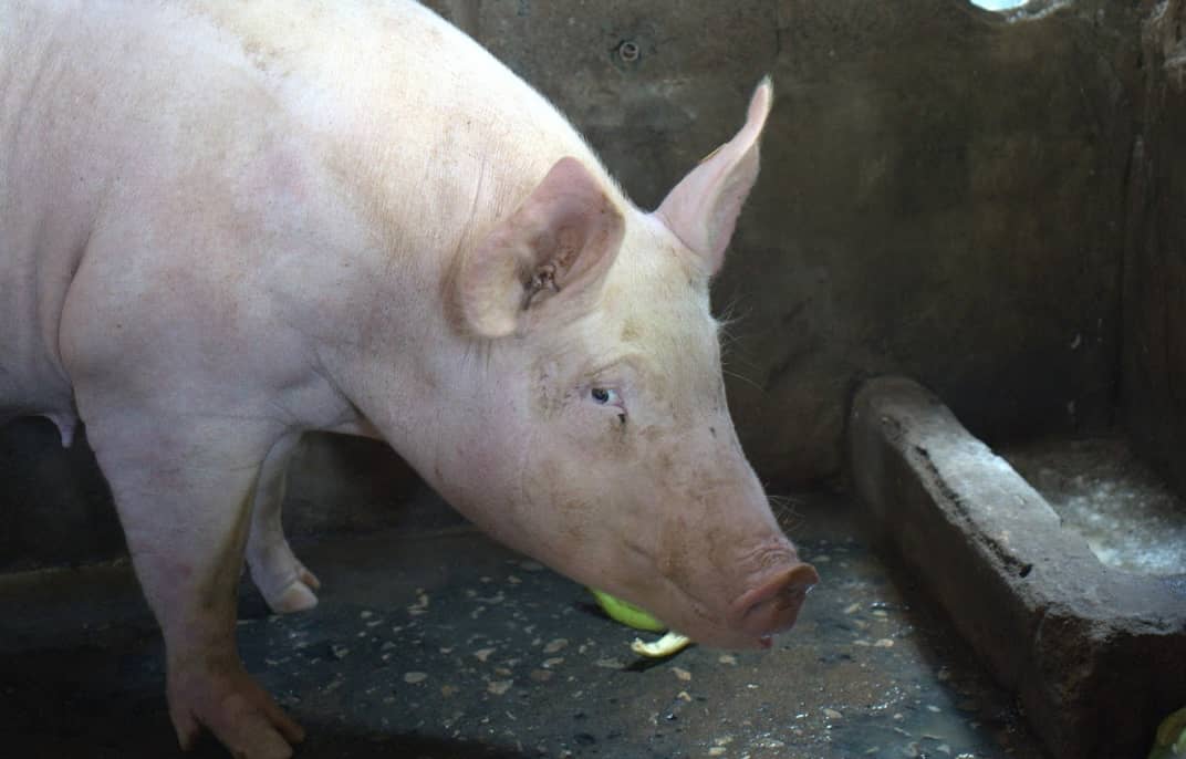 Captura de pantalla 2024-12-10 161155.png