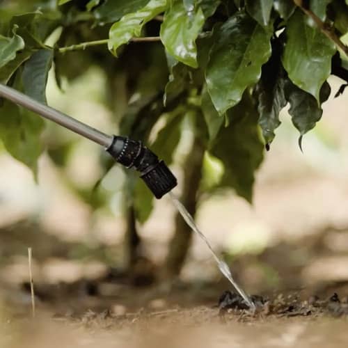 Verdadero 600WG Café Roya Insecticida Fungicida ICA