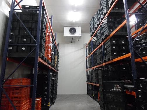 Cuarto Frío de Congelación Modular para Alimentos Perecederos