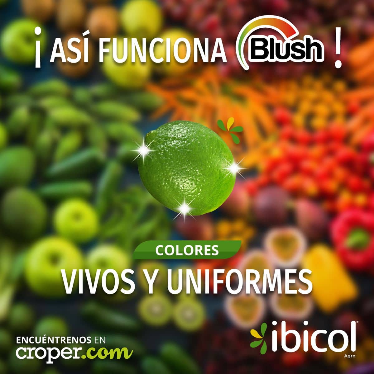 Fertilizante Mejorador de Color en Fruto Blush x 1lt