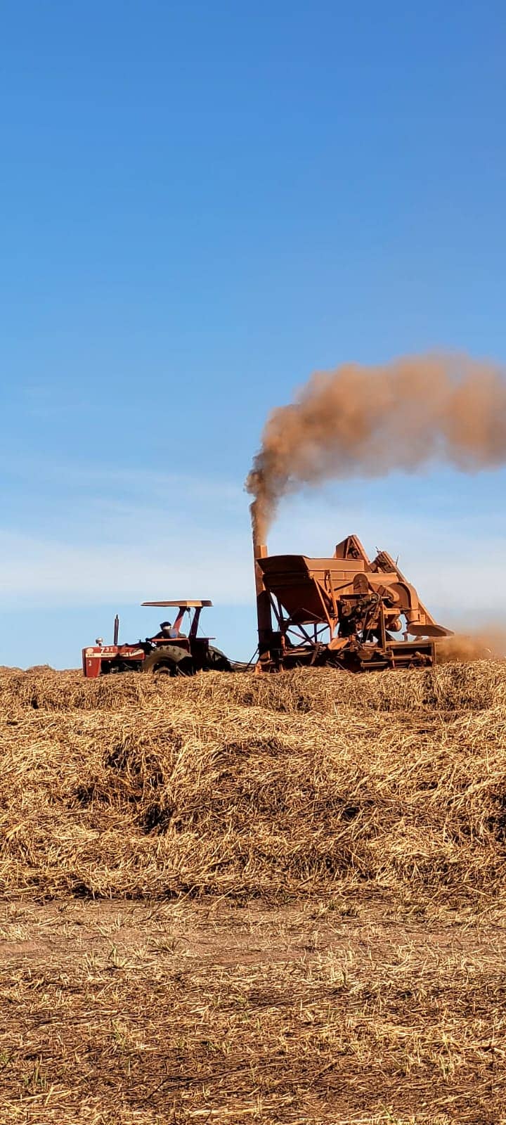 WhatsApp Image 2025-10-31 at 2.52.38 PM (1).jpeg