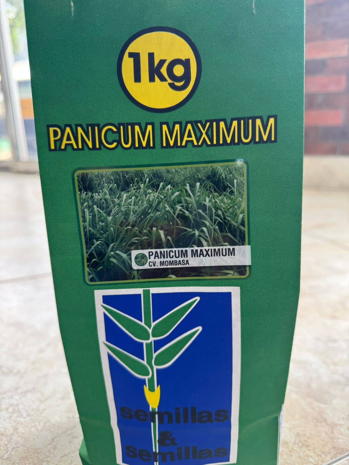 Pasto Mombasa 1 kg | Panicum máximo forrajero intensivo