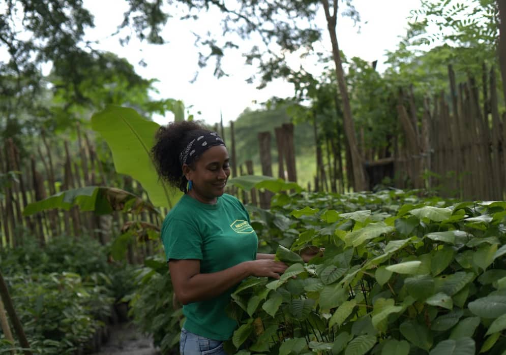 Captura de pantalla 2024-12-20 095016.png