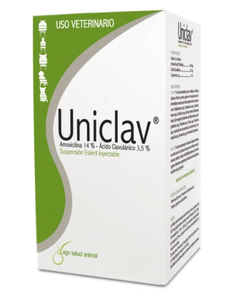 Antibiótico Uniclav