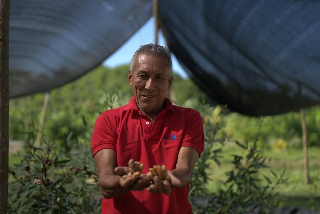 Captura de pantalla 2024-12-10 150152.png