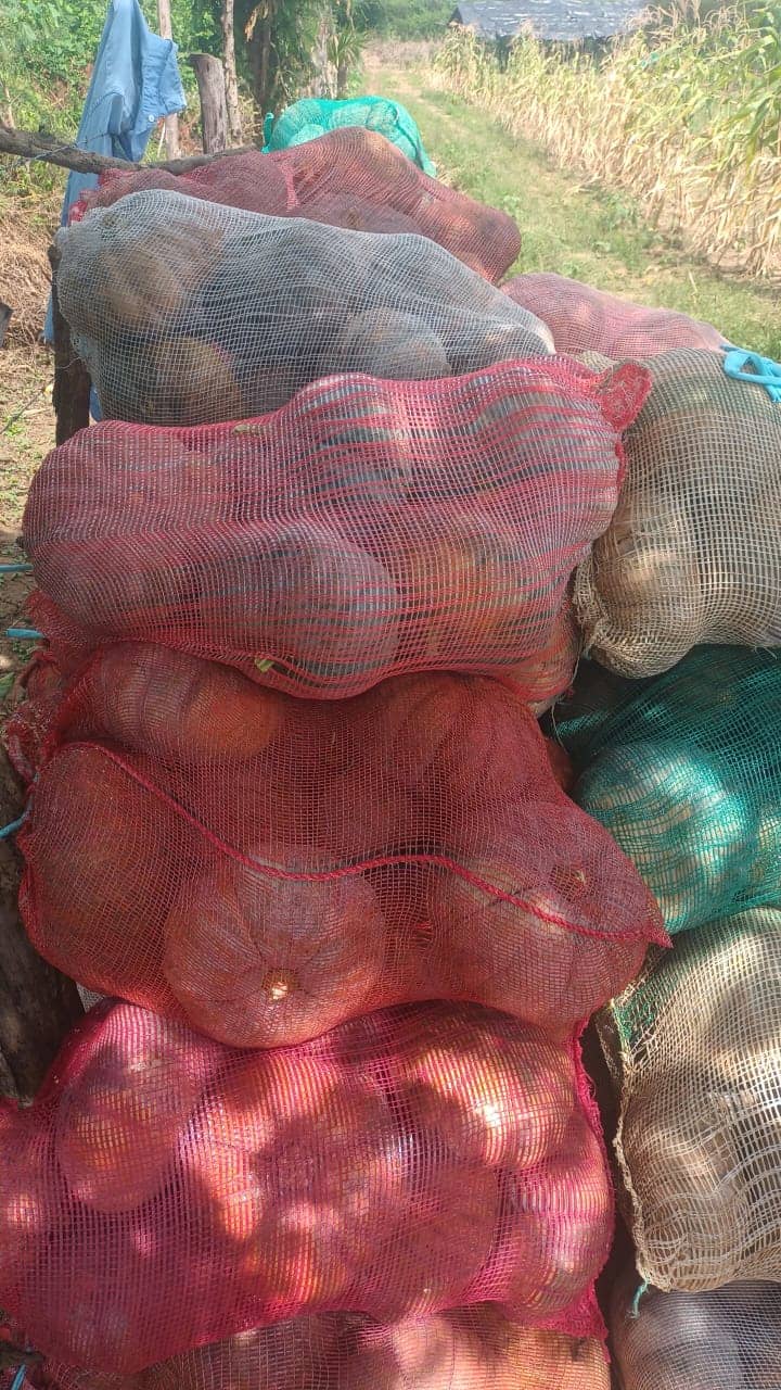 Imagen de WhatsApp 2025-02-21 a las 11.22.18_14f7ec91.jpg